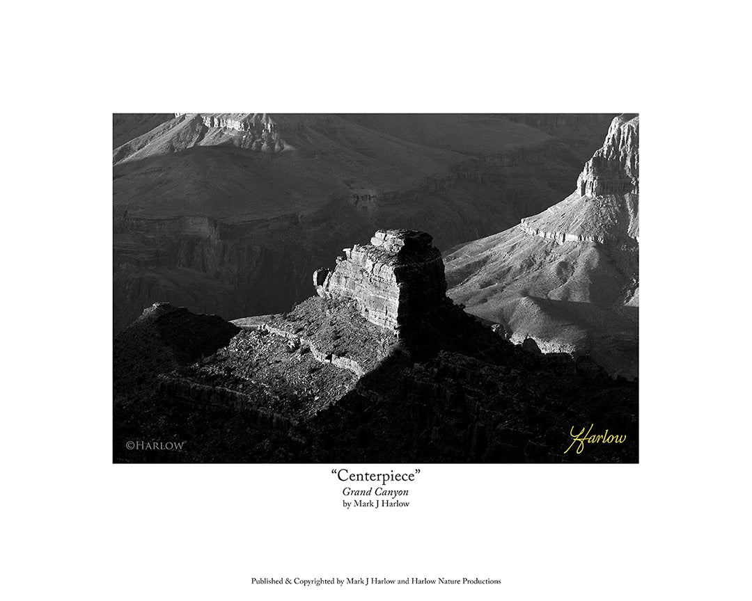 "Centerpiece" Grand Canyon Picture Black & White -Print