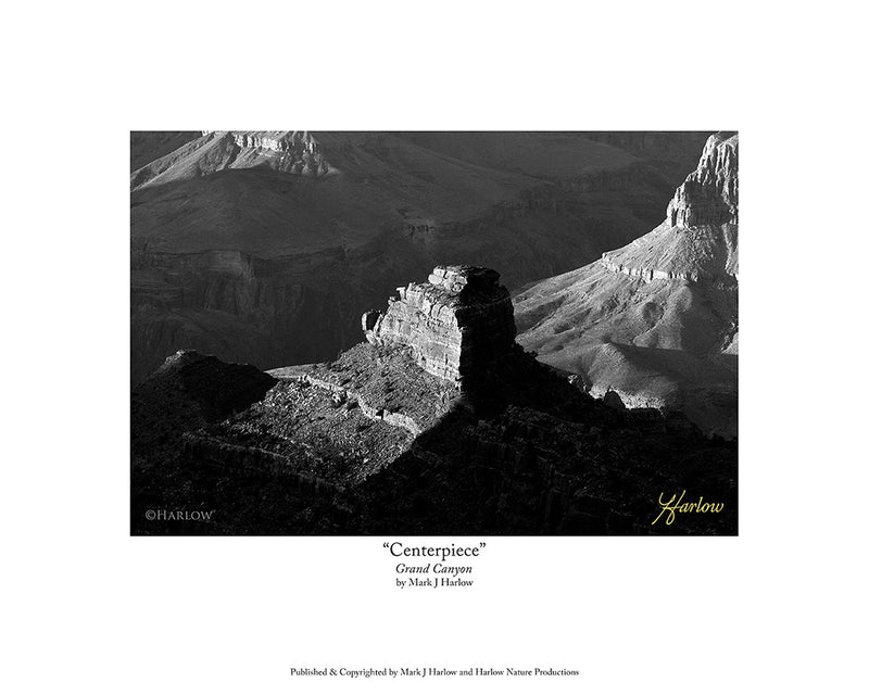"Centerpiece" Grand Canyon Picture Black & White