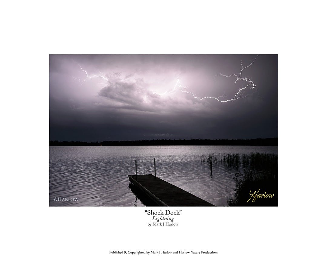 "Shock Dock" Rare Lighting Picture With Fishing Dock - Print