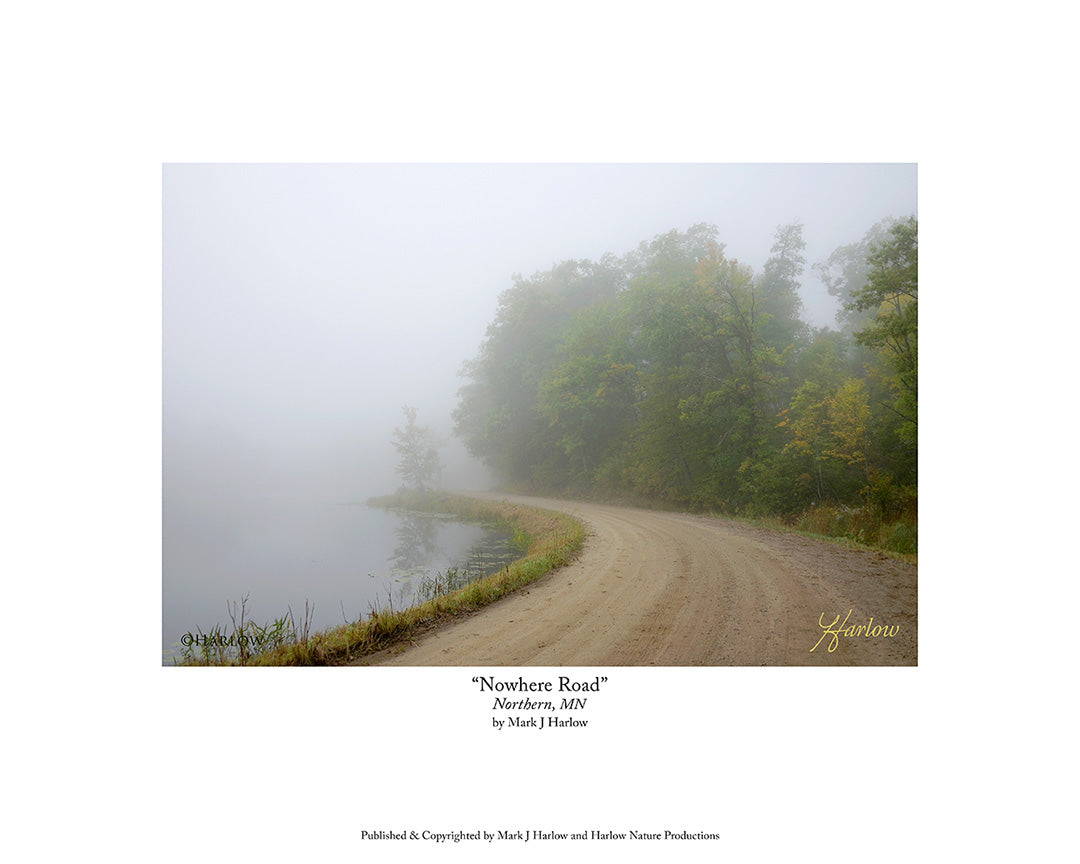 "Nowhere Road" Foggy Landscape Picture - Print