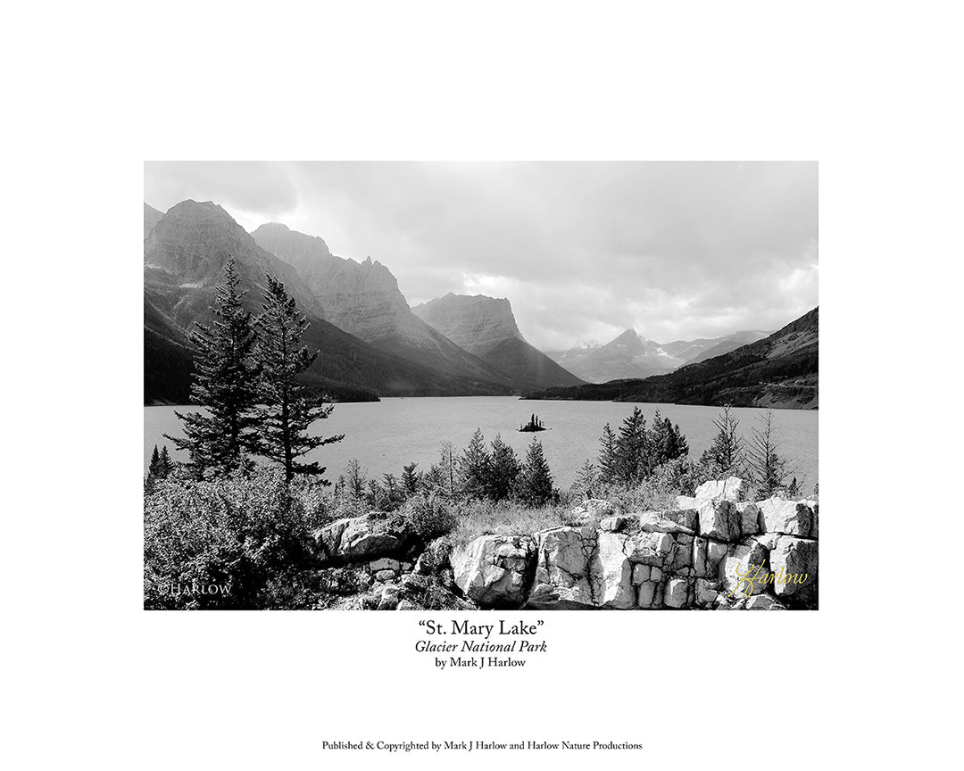 "St Mary Lake" Glacier National Park Picture B&W - Print