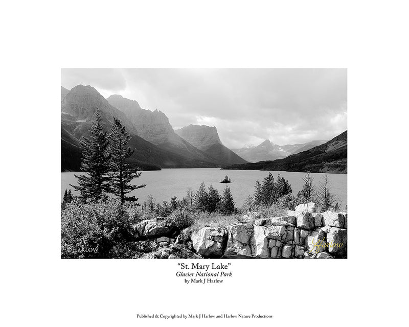 "St Mary Lake" Glacier National Park Picture B&W