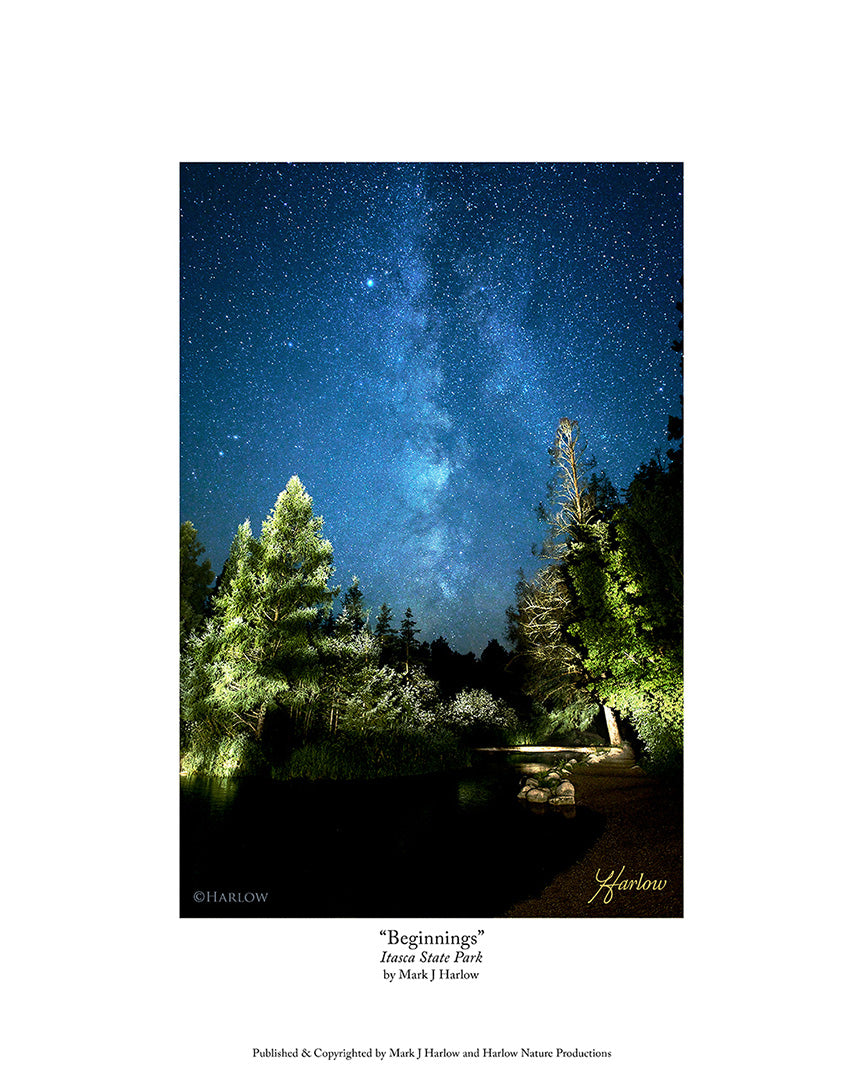 "Begginnings" Itasca State Park Picture Mississippi River - Print