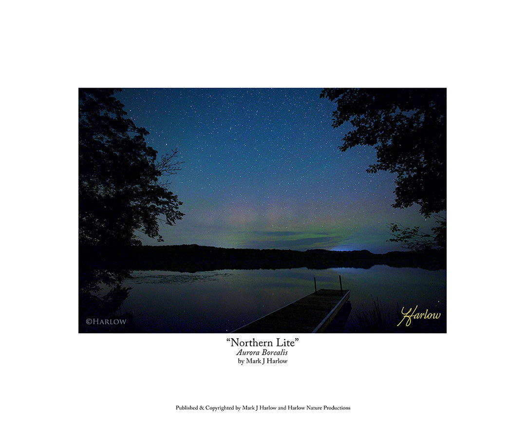 "Northern Lite" Unique Aurora Borealis Picture - Print