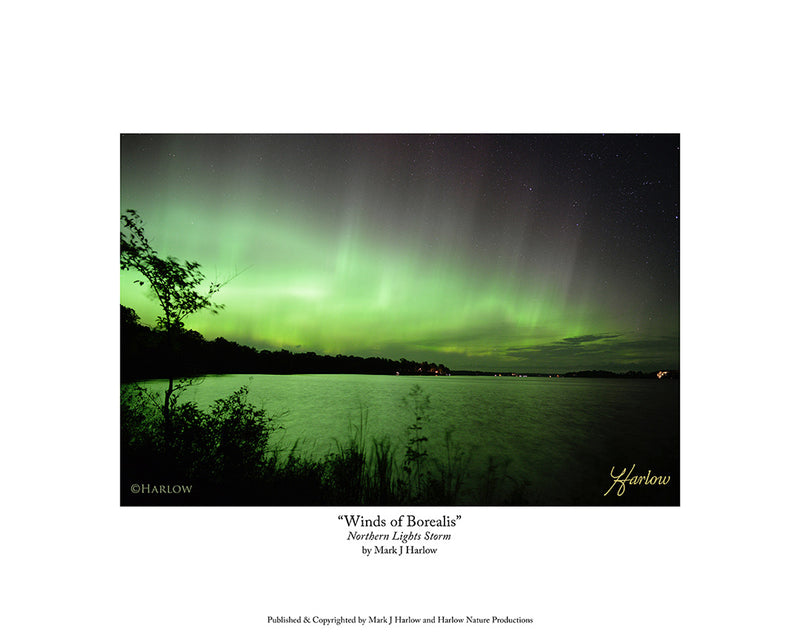 "Winds of Borealis" Northern Light Storm Picture