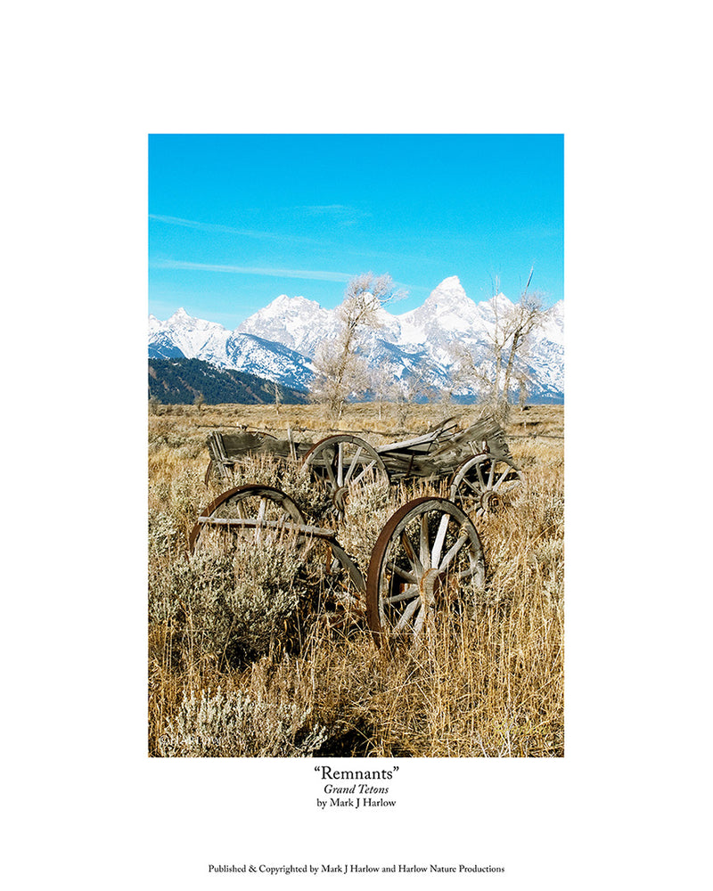 "Remnants" Old Wagon Wheel Picture Grand Tetons Photo