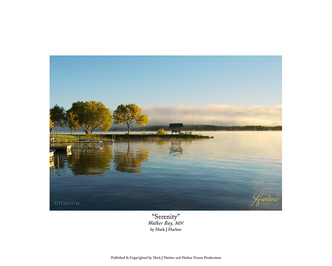 "Serenity" Calming Landscape Leech Lake, MN Picture - Print