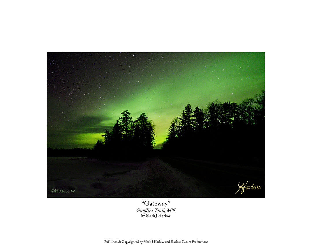 "Gateway" Gunflint Trail Northern Lights Picture - Print