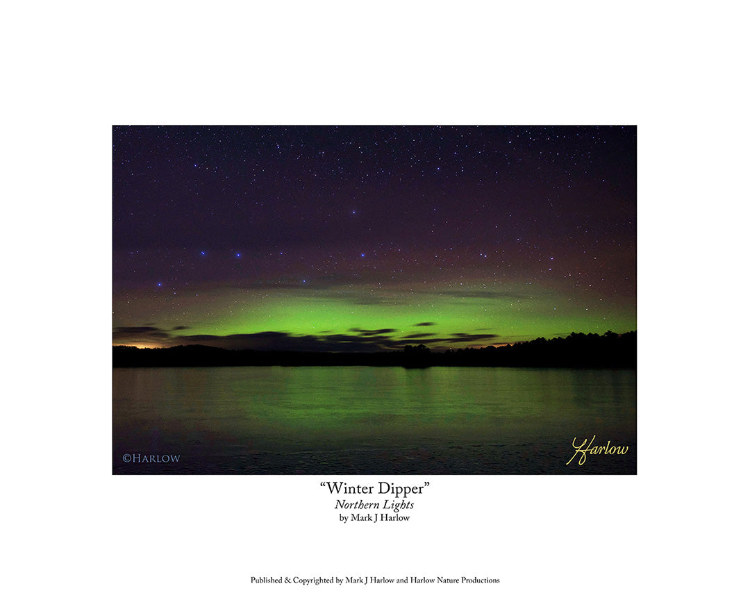 "Winter Dipper" Northern Light Winter Picture - Print