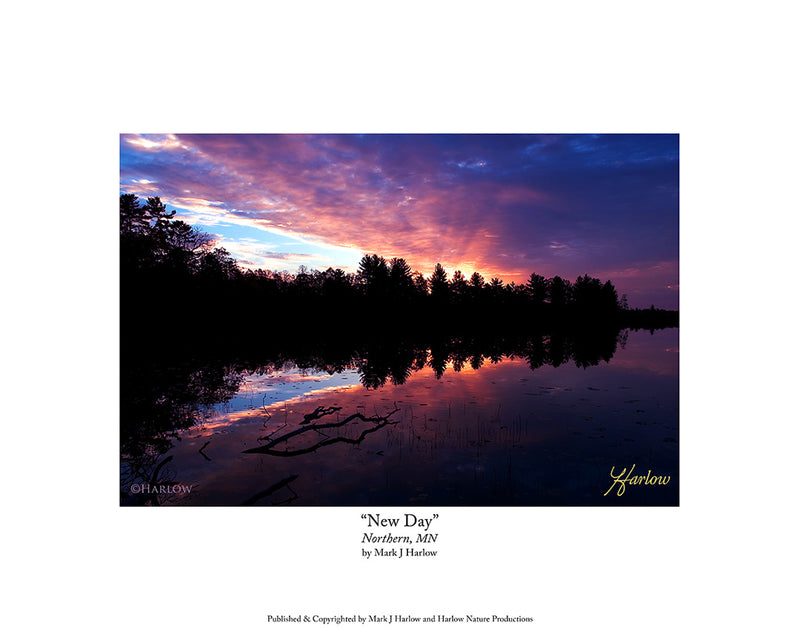 "New Day" Northern Minnesota Landscape Picture