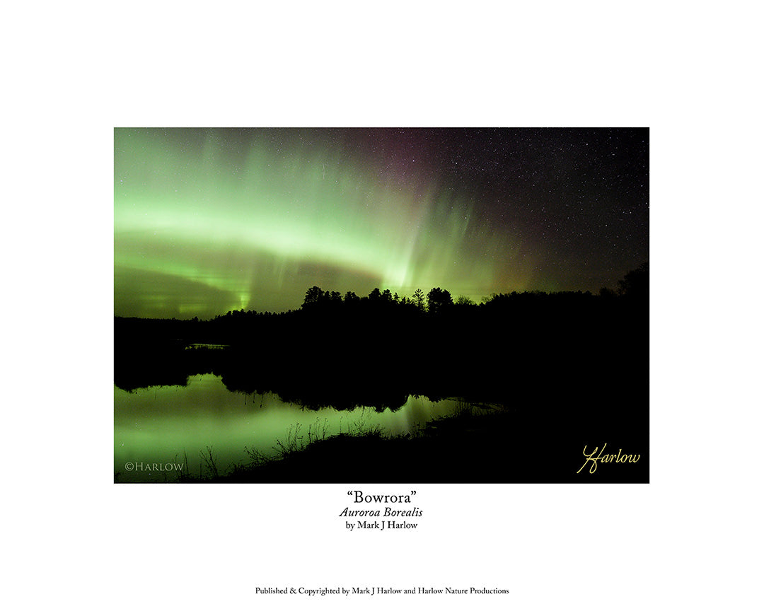 "Bowrora" Aurora Borealis Storm Picture