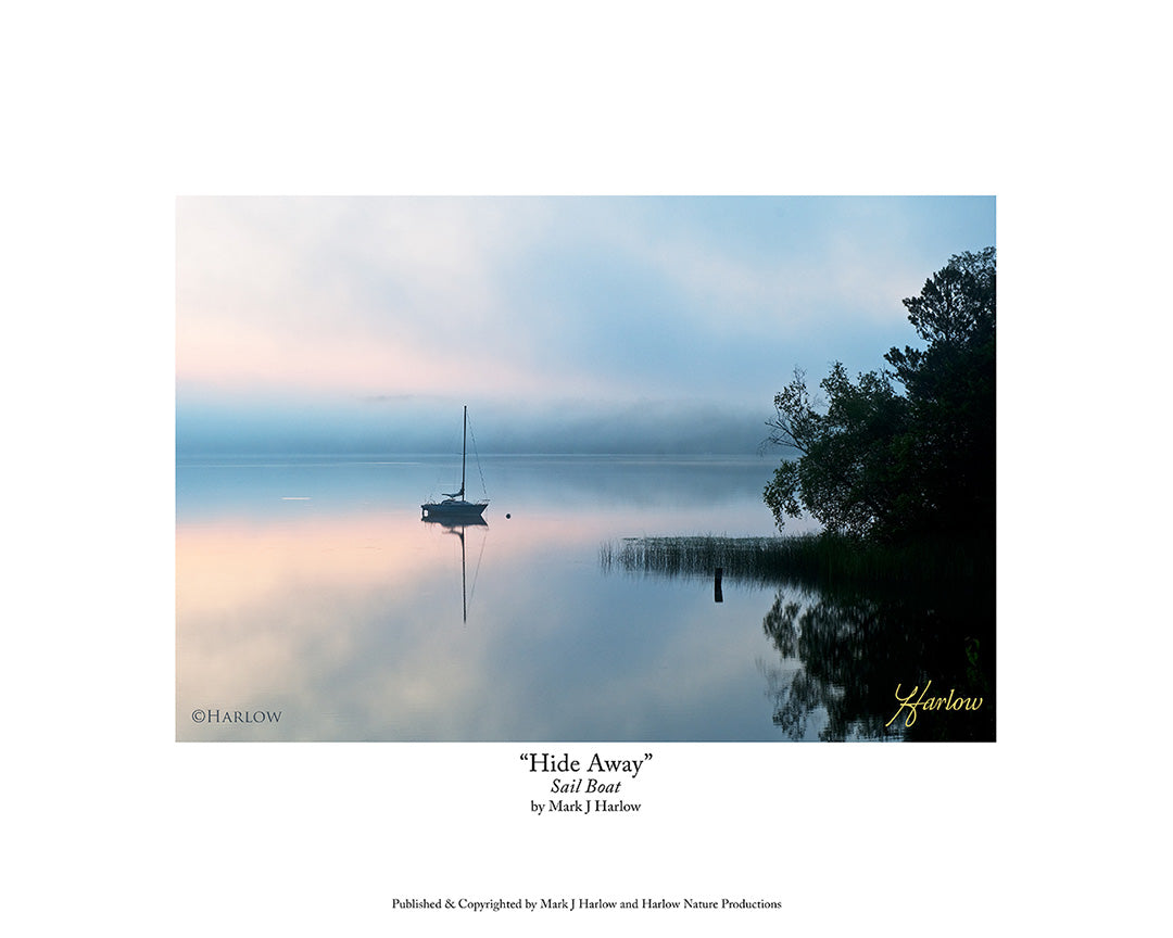 "Hide Away" Scenic Sailboat Picture - Leech Lake, MN - Print