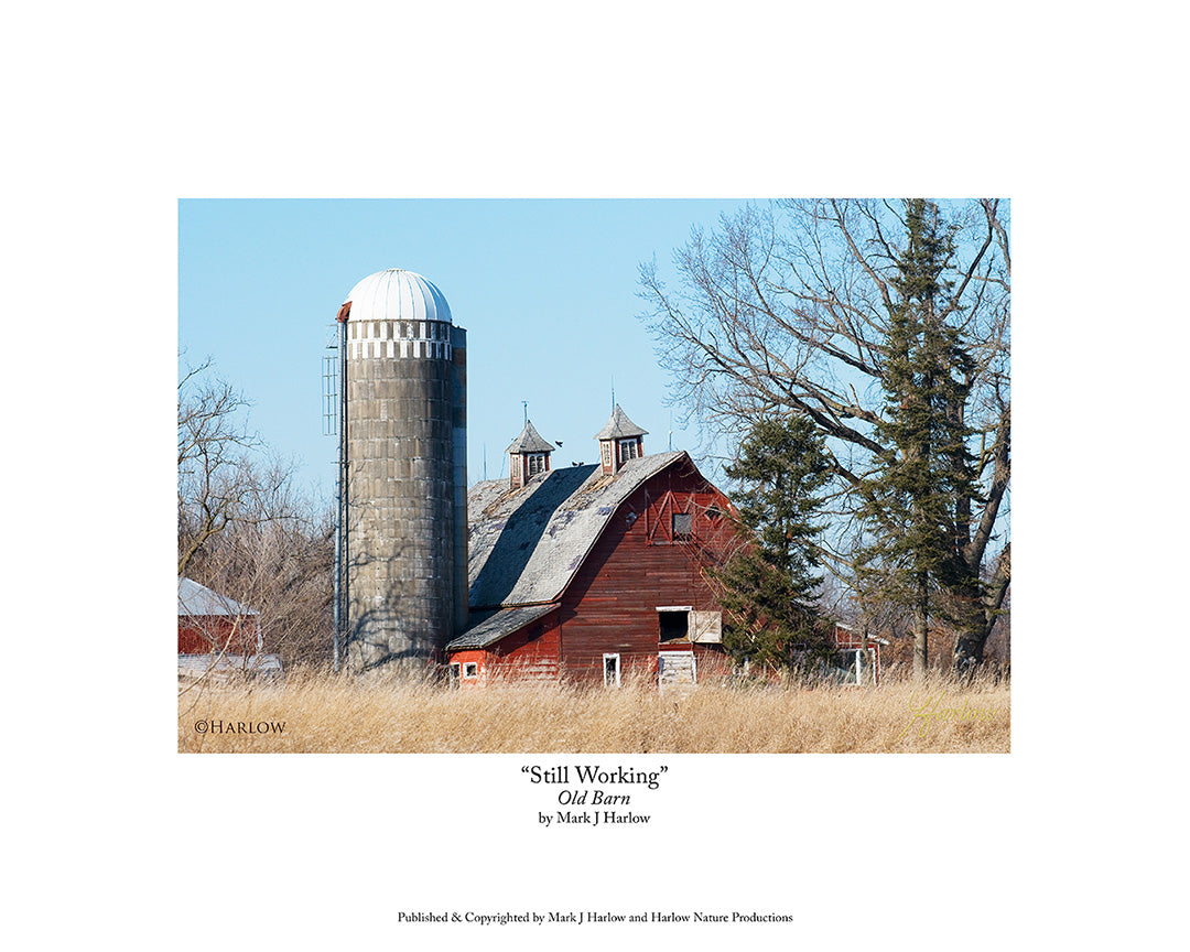 "Still Working" Old Barn Picture with Silo - Print