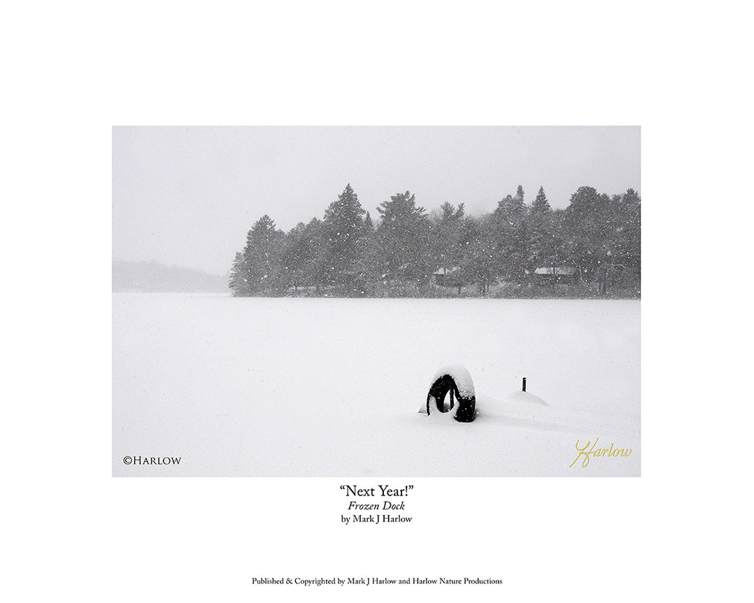 "Next Year" Frozen Dock In Lake Picture - Print