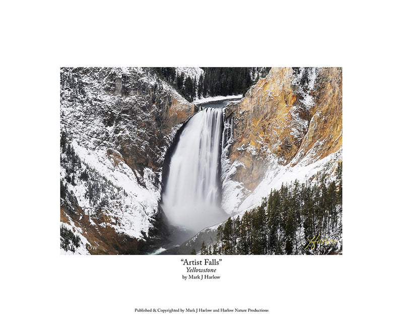 "Artist Falls" Yellowstone Park Landscape Picture