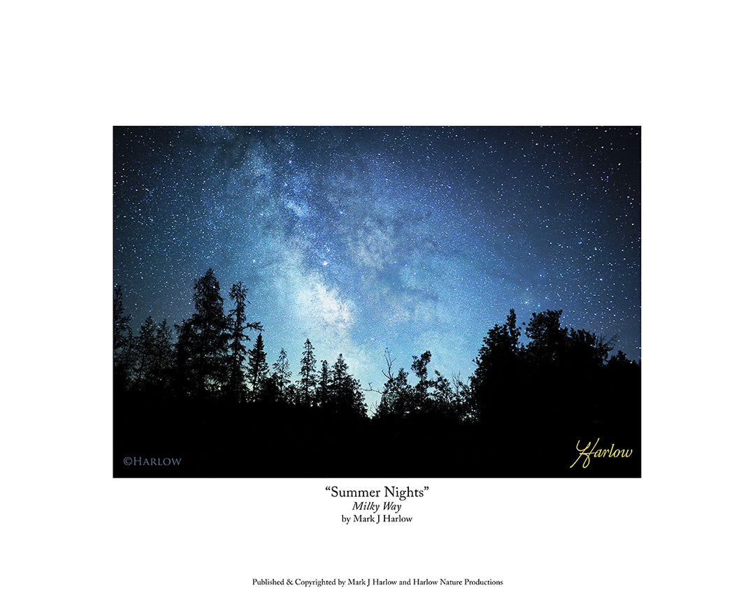 "Summer Nights" Milky Way Picture - Print