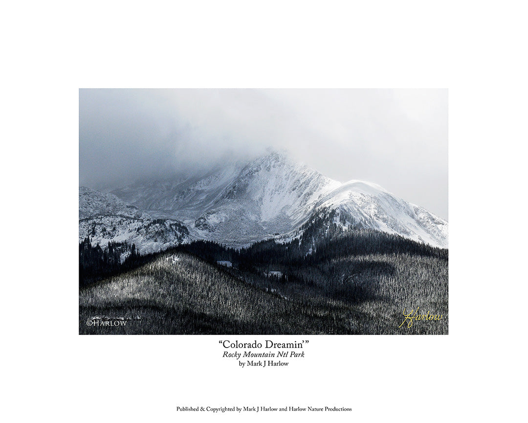 "Ski Dreams'" Rocky Mountain National Park Picture - Print