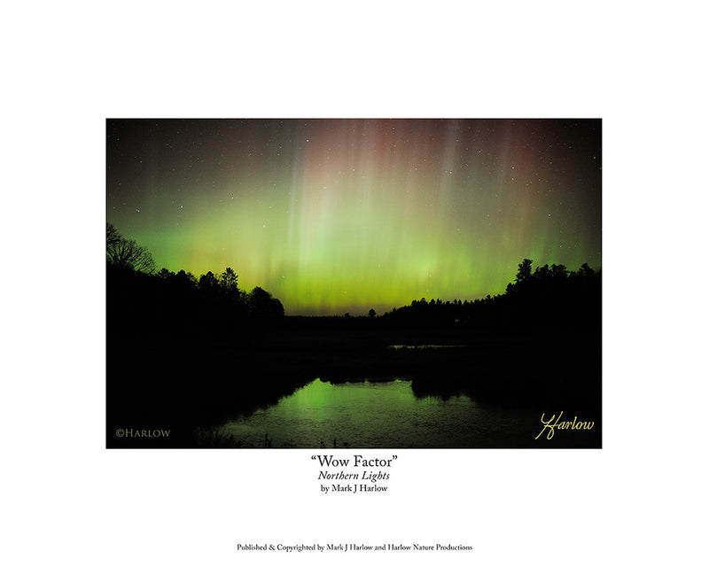 "Wow Factor" Northern Lights Picture