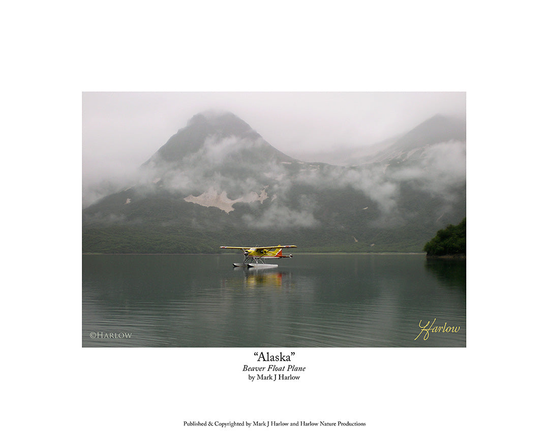 "Alaska" Beaver Float Plane Picture - Glacier Bay Alaska - Print