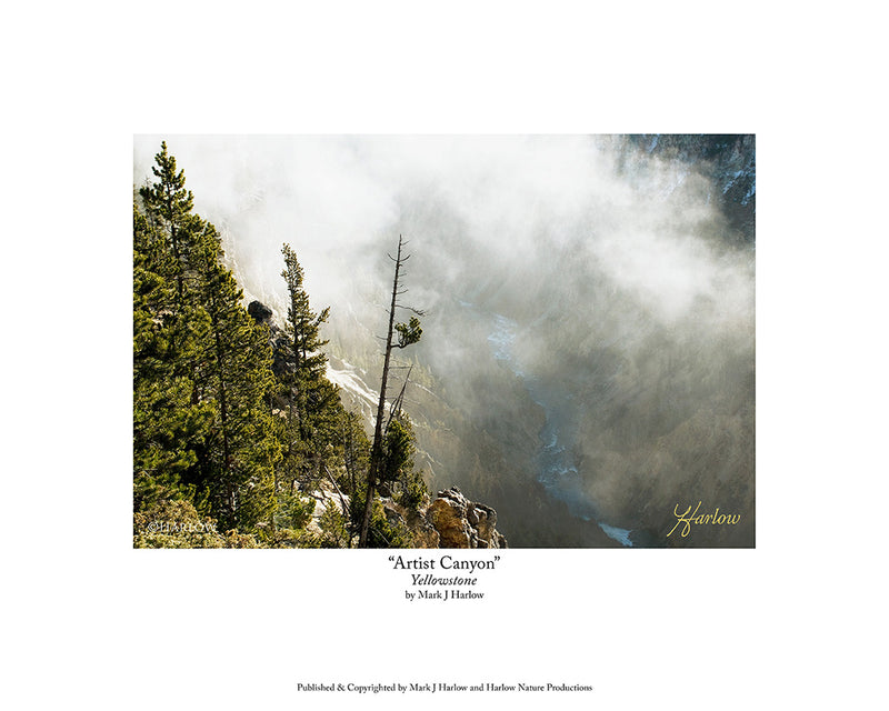 "Artist Canyon" Picture In Yellowstone National Park