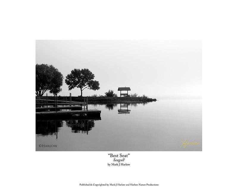 "Best Seat" Landscape Picture B&W Black & White Photo