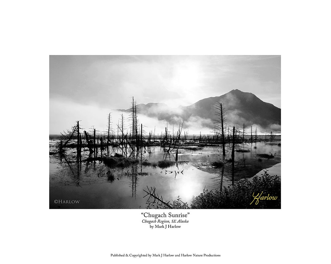 "Chugach Sunrise" - Famous Alaska B&W Picture - Print