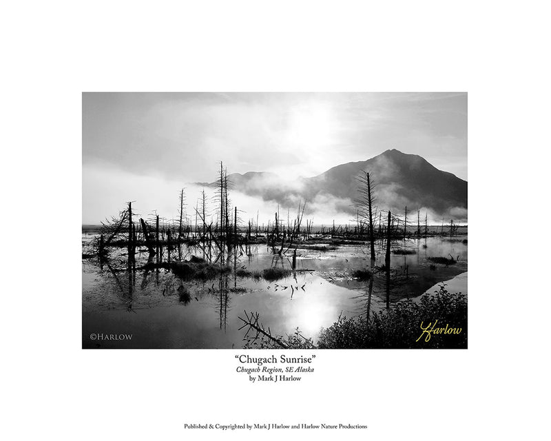"Chugach Sunrise" - Alaska B&W Print