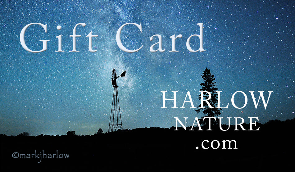 Gift Certificate - Milky Way