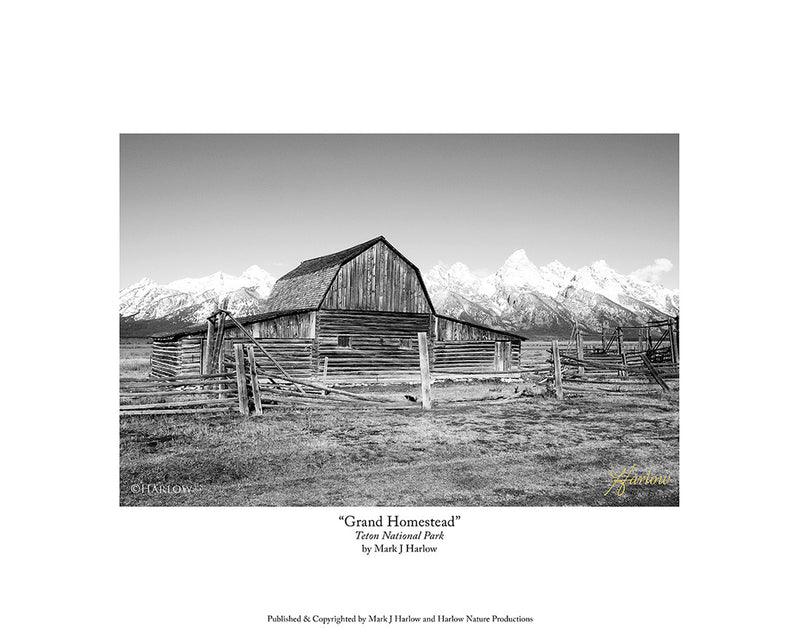 "Grand Homestead" Teton National Park Black and White Picture