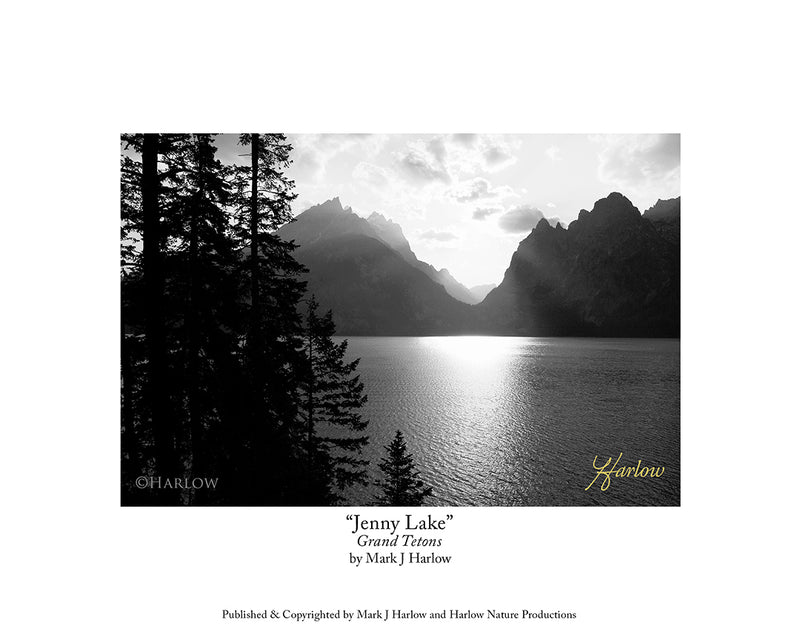 "Jenny Lake" Grand Tetons Picture