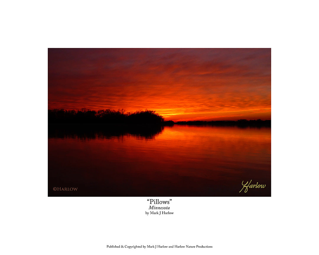 "Pillows" Sunset Picture - Minnesota Print