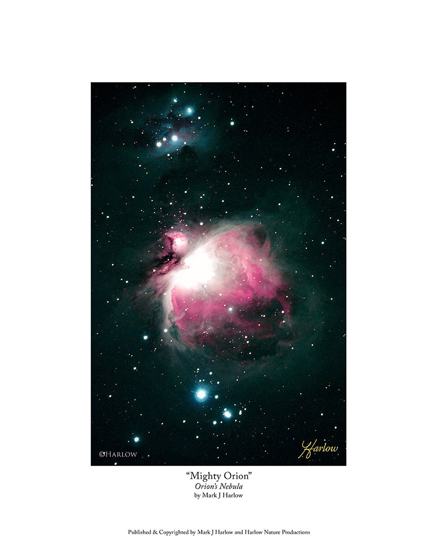 "Mighty Orion" Orion's Nebula Picture M42