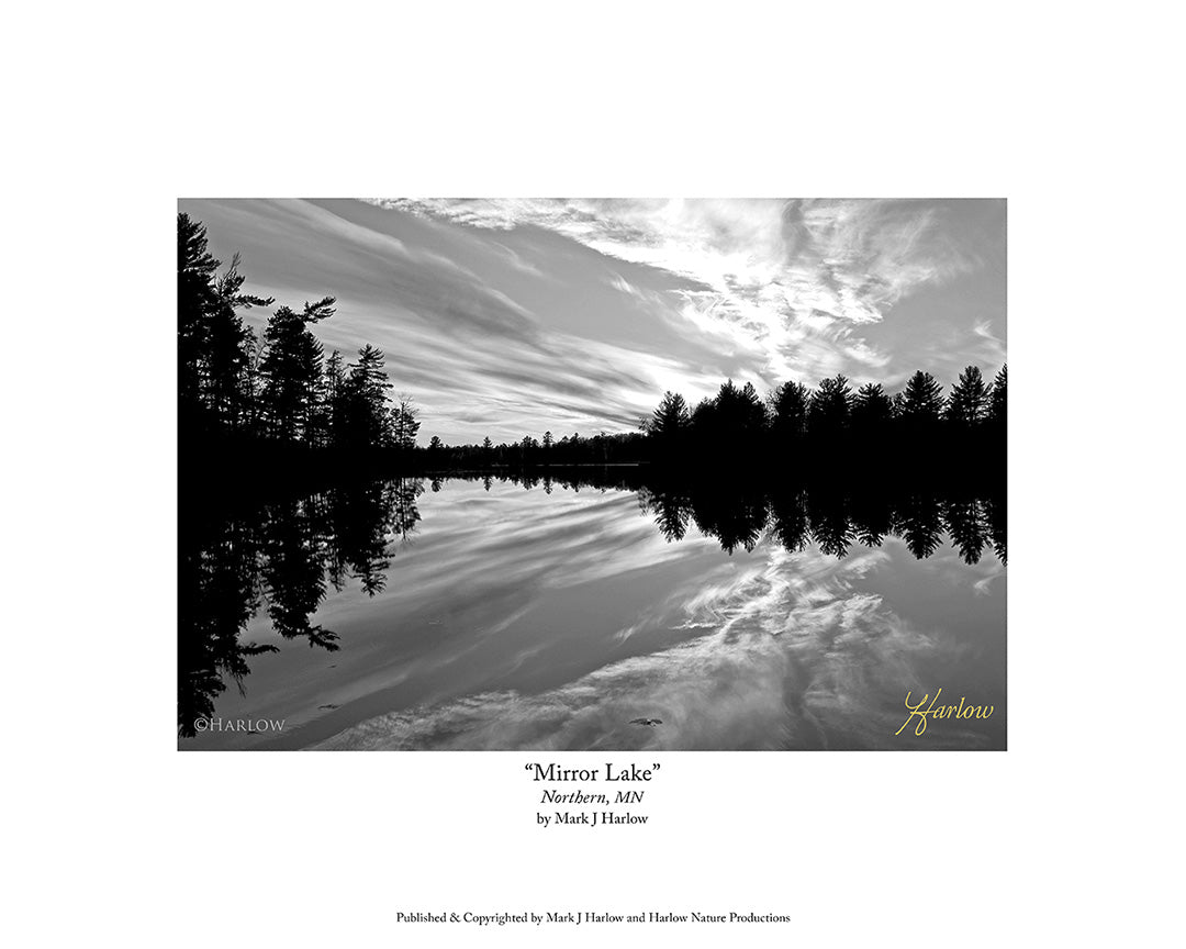 "Mirror Lake" Northern MN Landscape Picture - Print