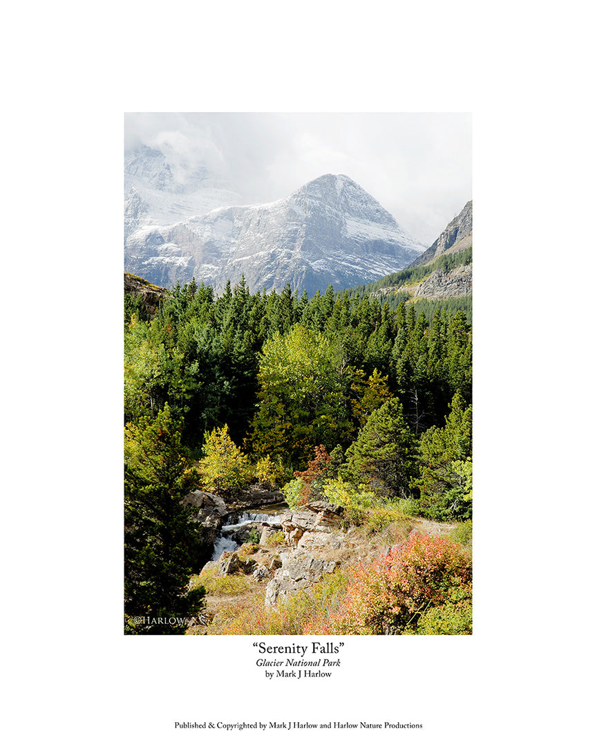 "Serenity Falls" Glacier National Park Picture
