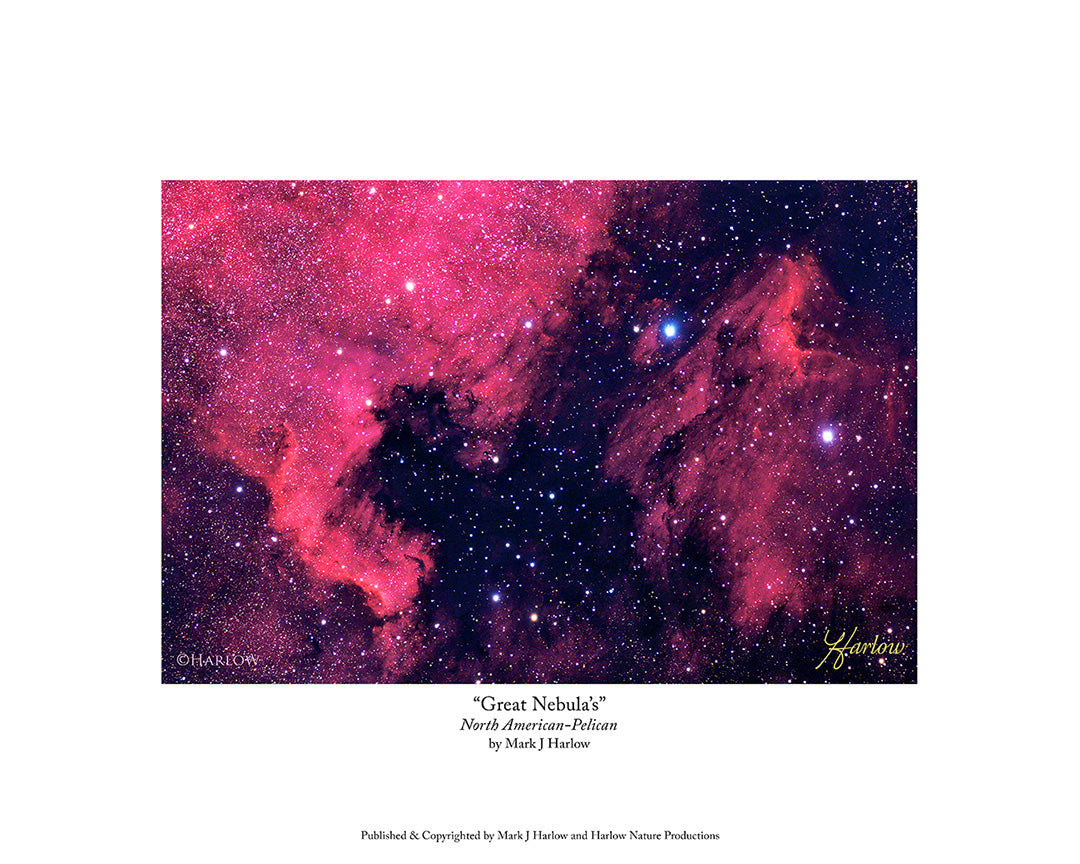 "Great Nebula's" Picture - North American & Pelican Nebulas - Print