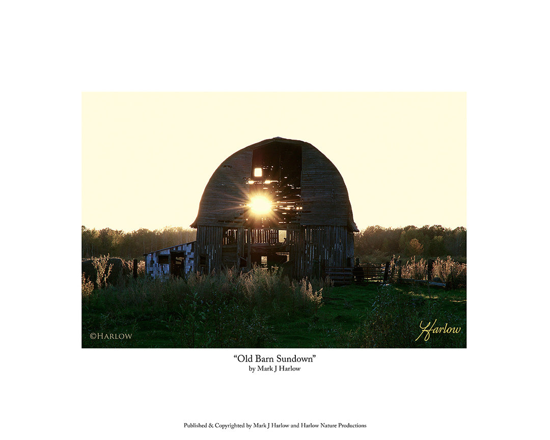 "Old Barn Sundown" Old Barn Picture at Sunset - Print