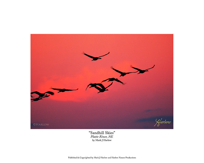 "Sandhill Skies" Picture Platter River Nebraska Cranes Photo