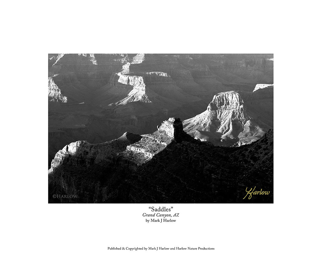 "Saddles" Grand Canyon B&W Picture - Print