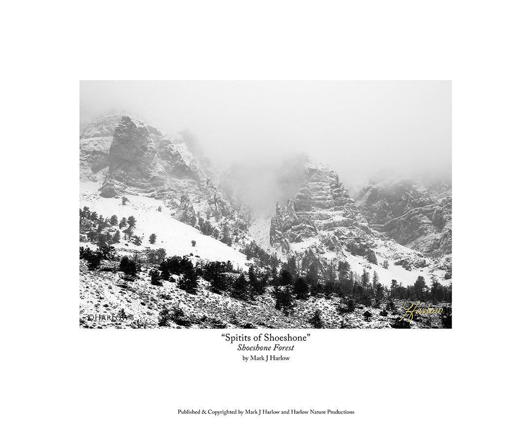 "Spirits of Shoeshone" B&W Landscape Photo - Print