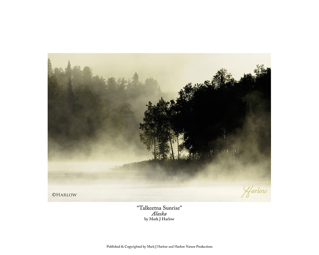 "Talkeetna Sunrise" Famous Talkeetna Alaska Picture - Print