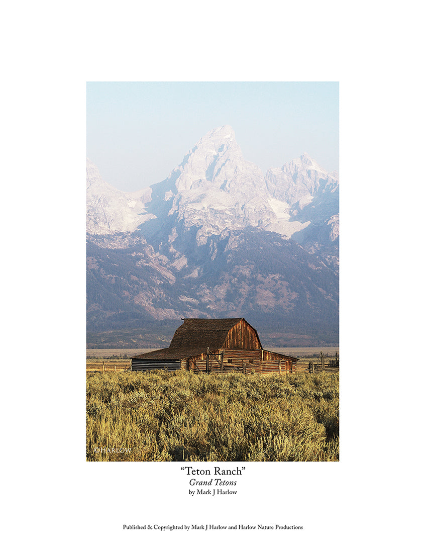 "Teton Ranch" Grand Tetons Homestead Picture - Print