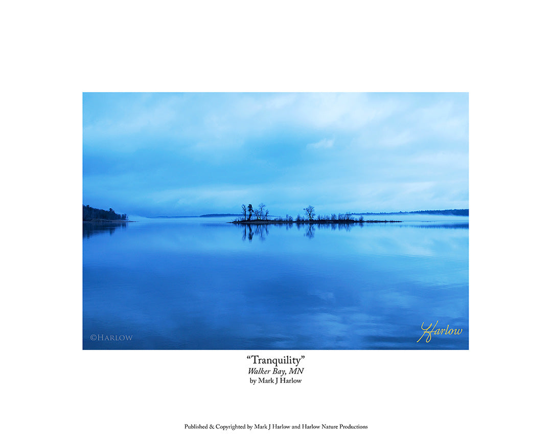 "Tranquilty" Landscape Picture Northern Minnesota - Print