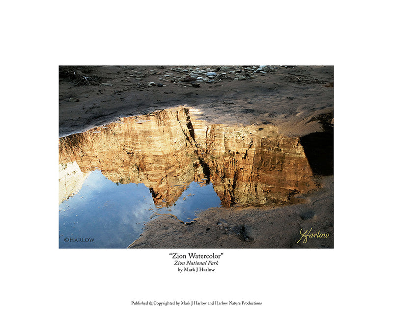 "Zion Watercolor" Zion National Park Picture Water Reflection Photo